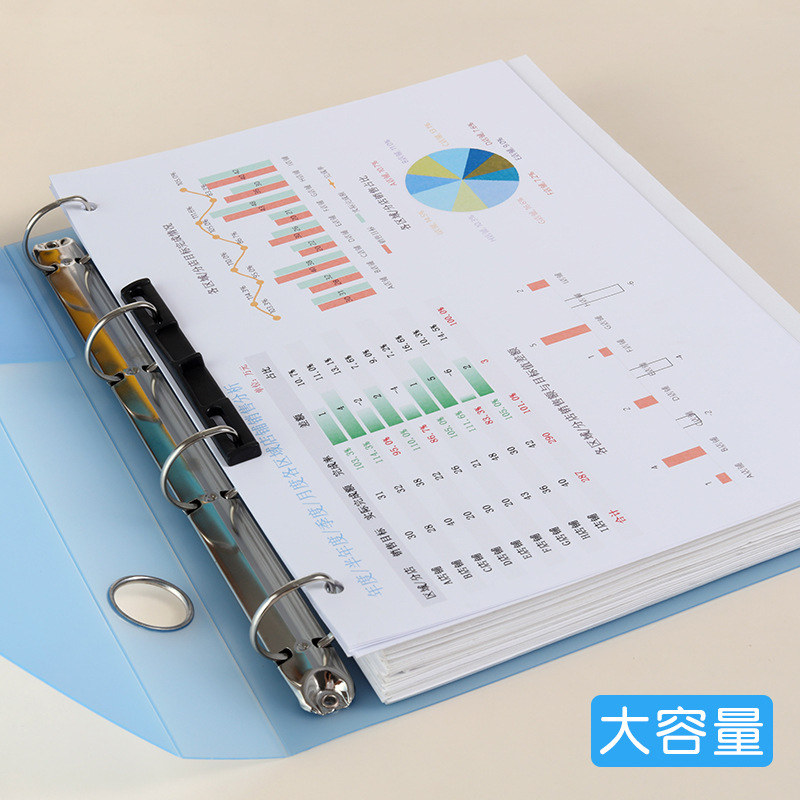 Four-hole A4 Punching Binder S - огляд і ціна Binder A4 Lever